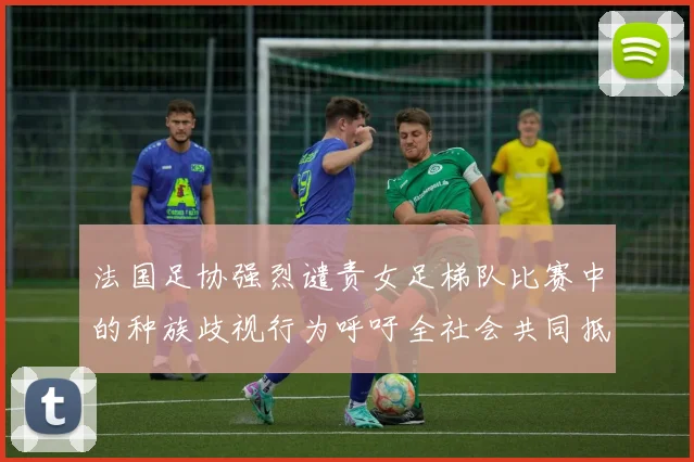 法国足协强烈谴责女足梯队比赛中的种族歧视行为呼吁全社会共同抵制