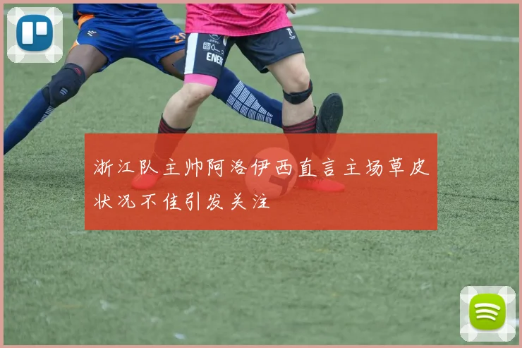 浙江队主帅阿洛伊西直言主场草皮状况不佳引发关注